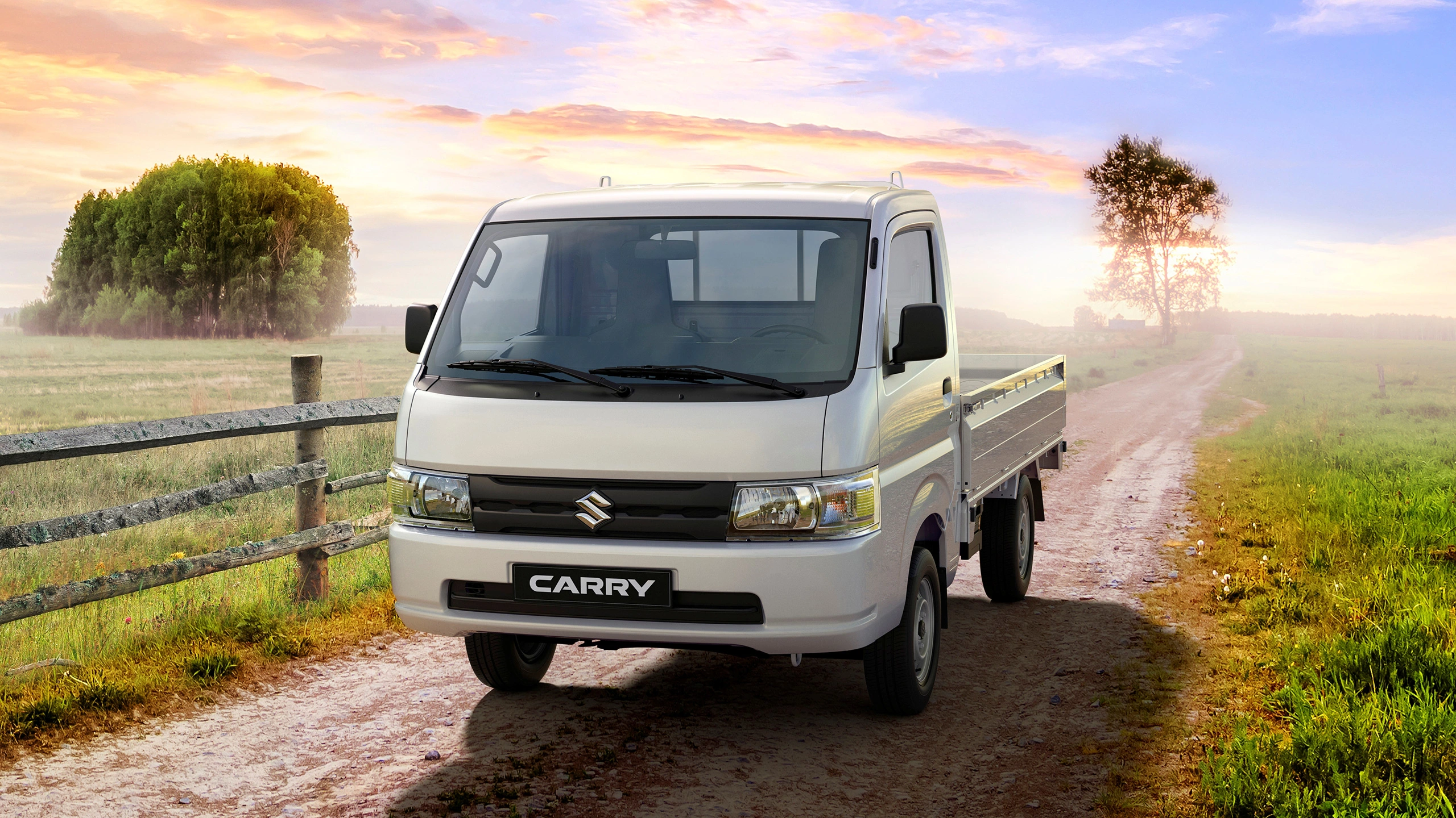 suzuki carry pickup